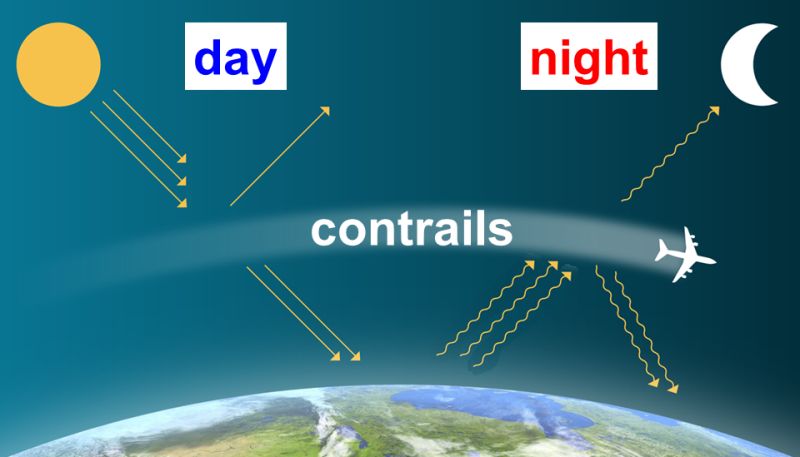 Contrail Manangement
