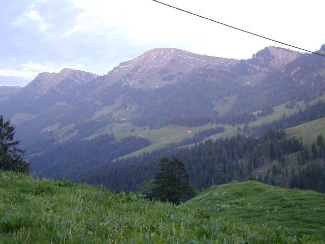 Blick
